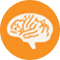 brain