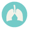 lungs